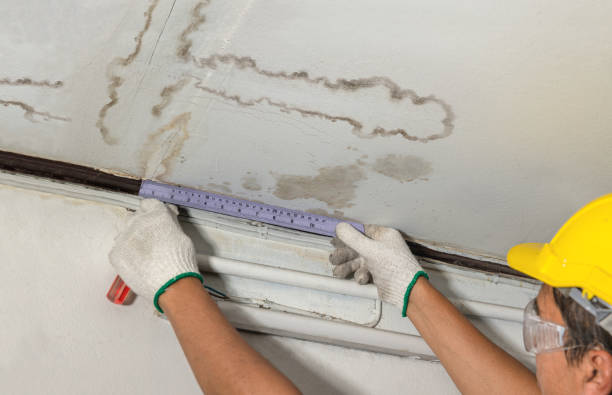 Reliable Basement Flooding contractor in Chesterfield, NJ by Local Water Damage Repair